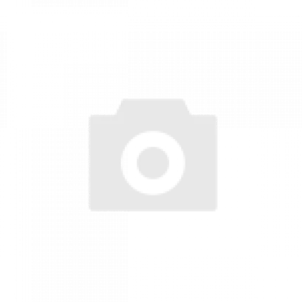 Праздники как важная часть студенческой жизни: как поздравить и создать атмосферу праздника